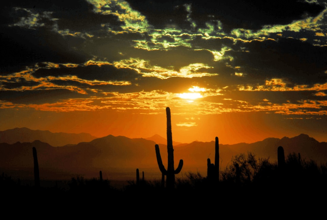 sunset over Arizona mountains with cactus in foreground
